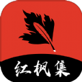 毛片软件APP应用