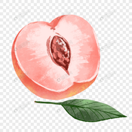 WWW,se866·COM网站APPAPP应用