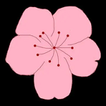 伊云直播间APP应用